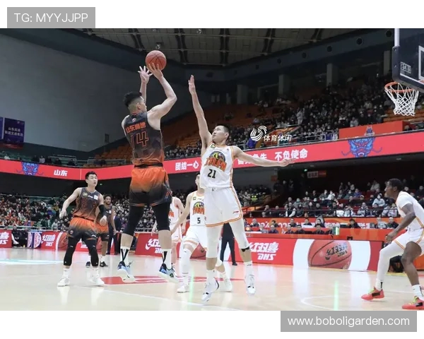 为什么CBA篮球球员会有足球日：体育赛事的跨界融合