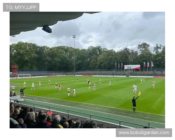 德甲球队的场地设计：如何提升观赛体验